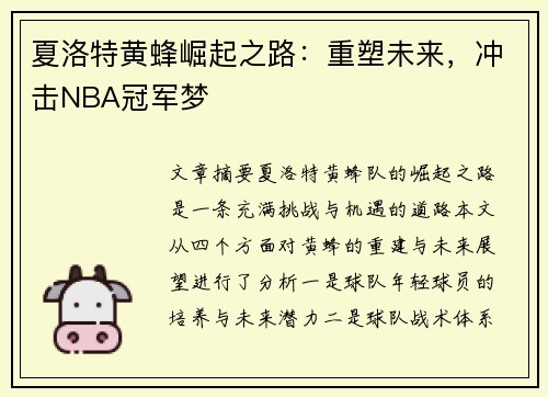 夏洛特黄蜂崛起之路：重塑未来，冲击NBA冠军梦